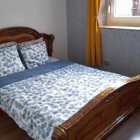 Studio Privee Vesoul -Wifi,Tv,Clim,Parking Gratuit Bagian luar foto