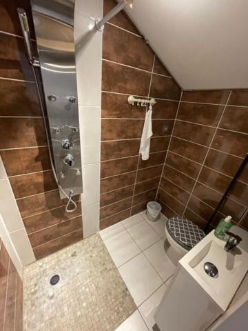 Studio Privee Vesoul -Wifi,Tv,Clim,Parking Gratuit Bagian luar foto